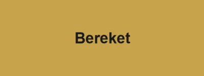 Bereket Tarım