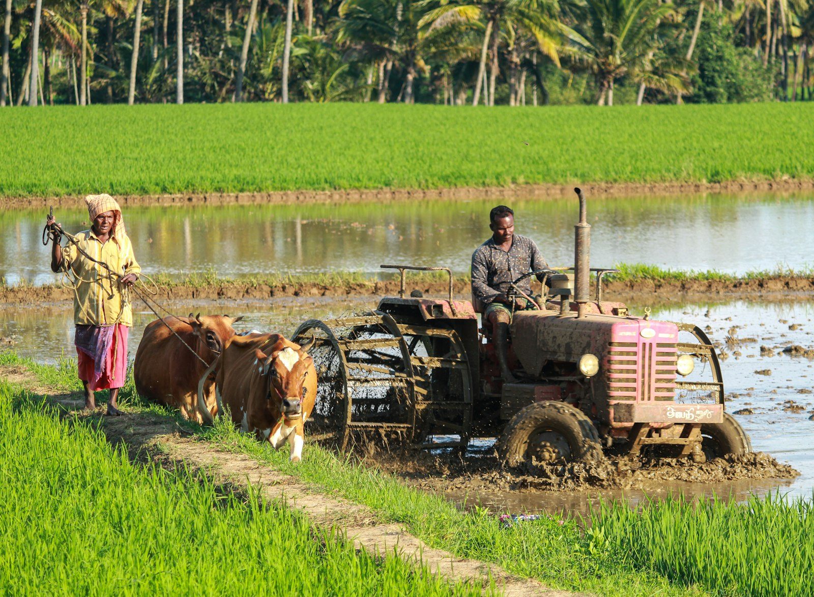 Tractor